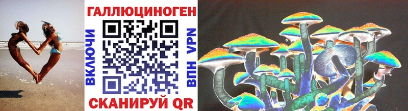 Псилоцибиновые грибы GOLDEN TEACHER  Купить  Ивантеевка 