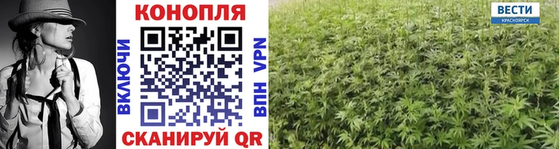 Купить  Ивантеевка  Конопля White Widow 